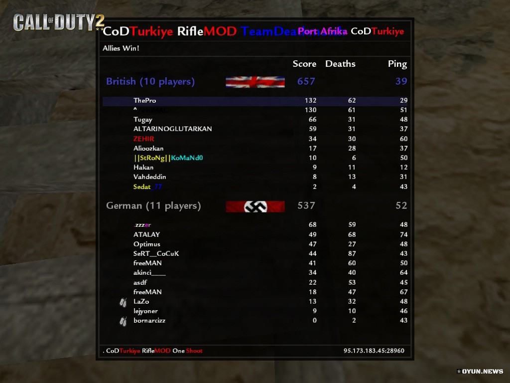 Cod2 Rifle Mod The Pro Skor 1