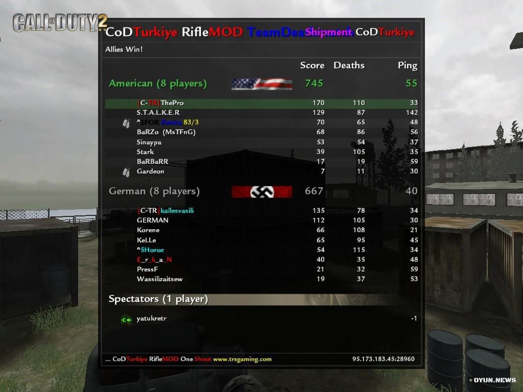 Cod2 Rifle Mod The Pro Skor 2