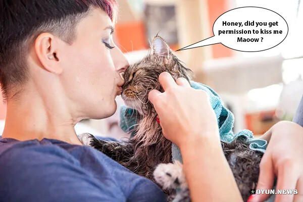 Kadinla Kedinin Ekran Goruntusu