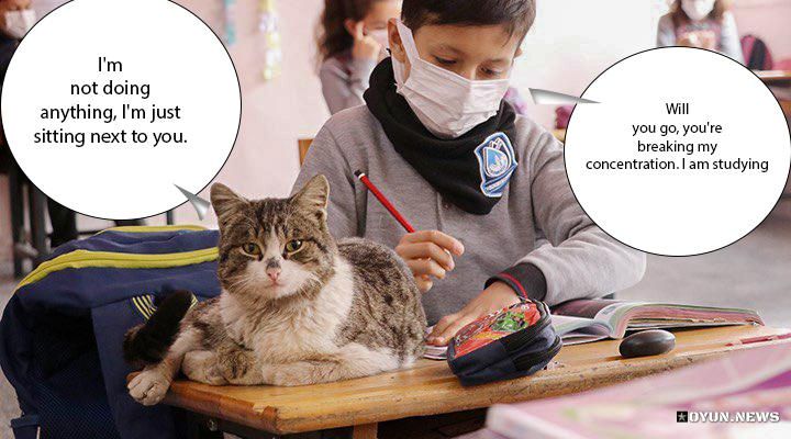 Kedi Ve Cocuk