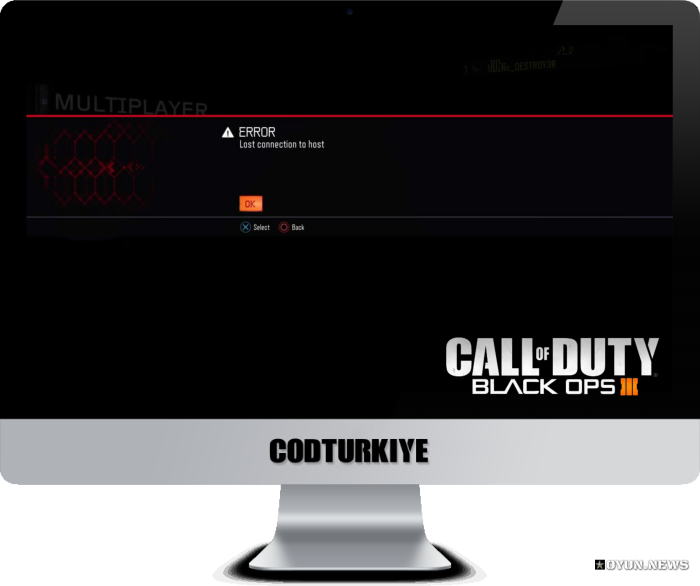 Bo3 Lost Connection To Host Hatasi