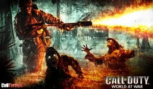 Call of Duty 5 World at War Sistem Gereksinimleri minimum CoD5